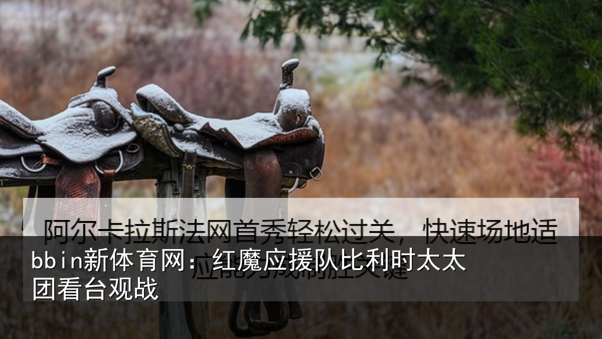 bbin新体育网：红魔应援队比利相关情况