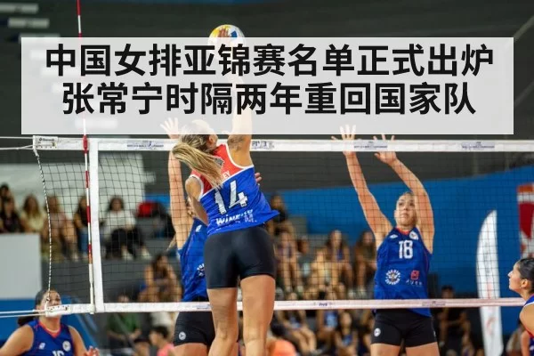 volleyball match action